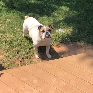 Meet your Posher, Alex